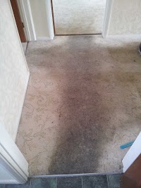 AngloClean Cheltenham Carpet Cleaners 356462 Image 2
